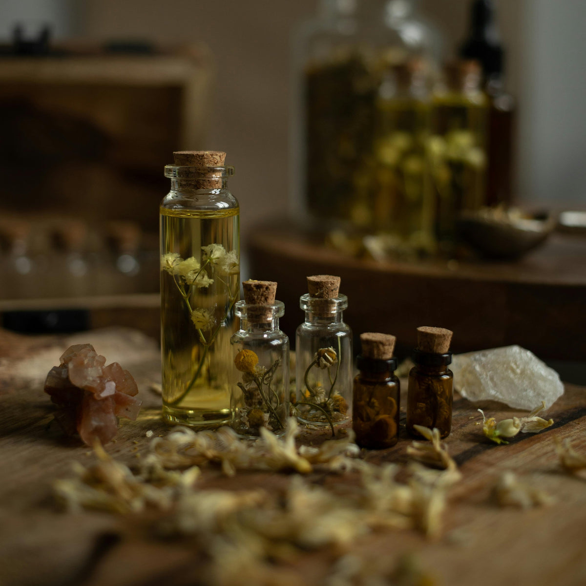 Alquimia Verde